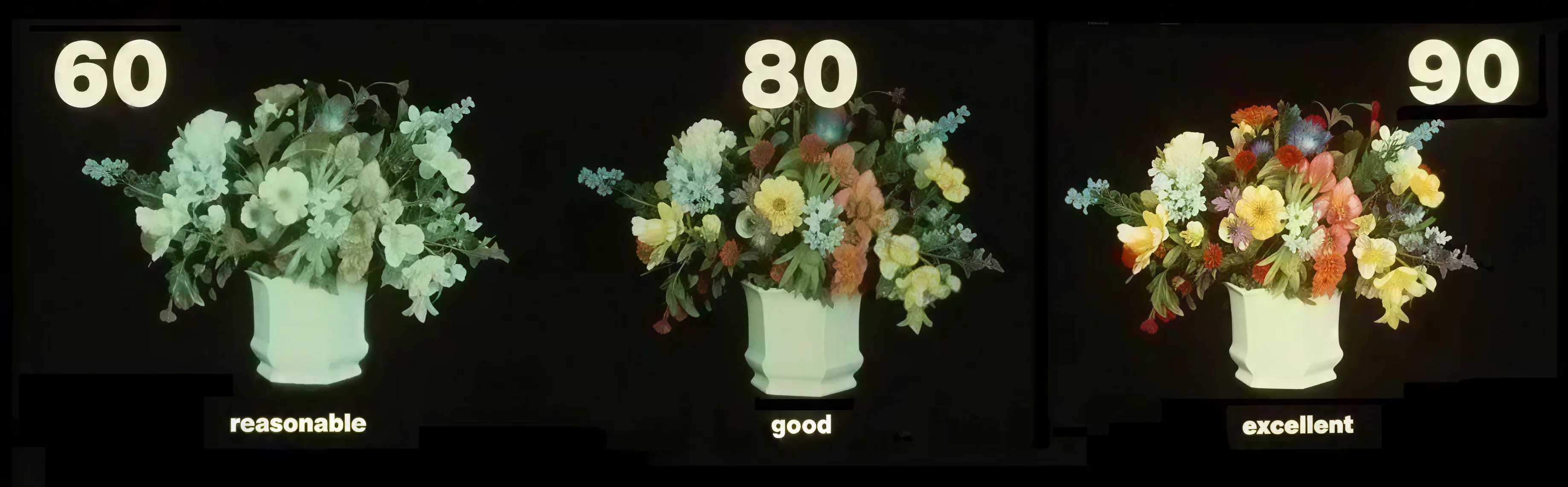 CRI comparison on flowers under different lighting conditions